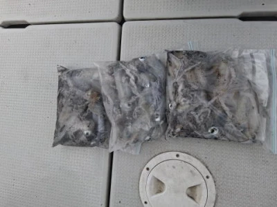 アーデン3号の2025年9月11日(木)1枚目の写真