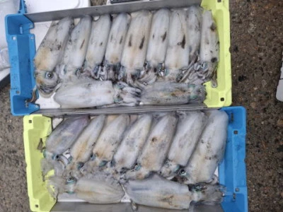 アーデン3号の2025年9月12日(金)2枚目の写真