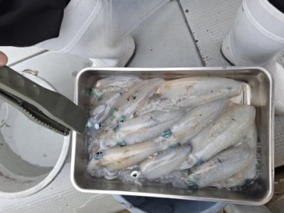 アーデン3号の2025年9月13日(土)1枚目の写真