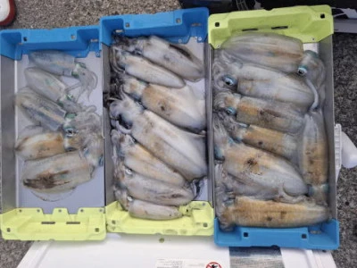 アーデン3号の2025年9月13日(土)2枚目の写真