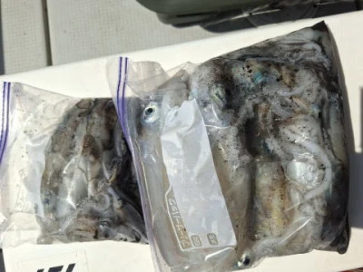 アーデン3号の2025年9月17日(水)1枚目の写真