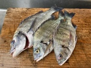 民宿とねの2025年9月9日(火)1枚目の写真