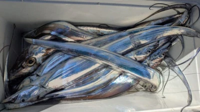 優誠丸の2025年9月16日(火)3枚目の写真