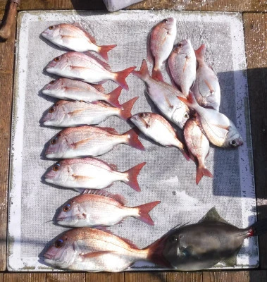 敏栄丸の2025年9月15日(月)1枚目の写真