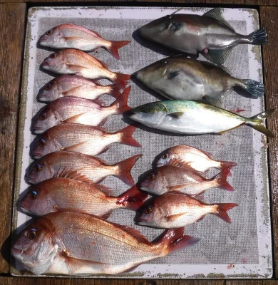 敏栄丸の2025年9月15日(月)2枚目の写真