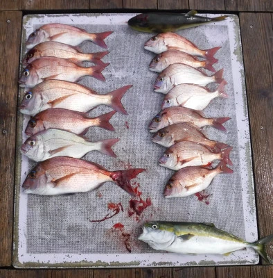 敏栄丸の2025年9月18日(木)1枚目の写真