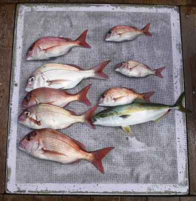 敏栄丸の2025年9月18日(木)2枚目の写真