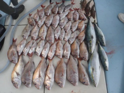 まお丸の2025年9月20日(土)1枚目の写真