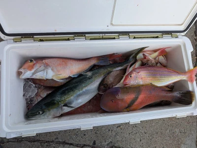 ヨシダマリンの2025年9月14日(日)1枚目の写真