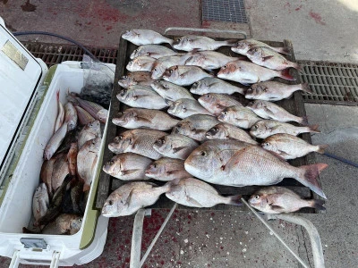 ヨシダマリンの2025年9月15日(月)2枚目の写真