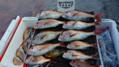 ヨシダマリンの2025年9月15日(月)3枚目の写真