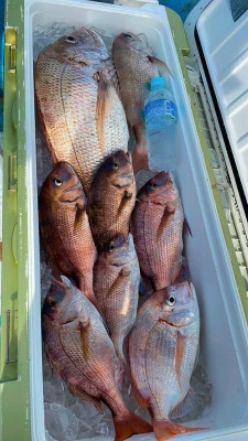 ヨシダマリンの2025年9月15日(月)5枚目の写真