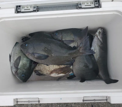 栄勇丸渡船の2025年9月21日(日)1枚目の写真