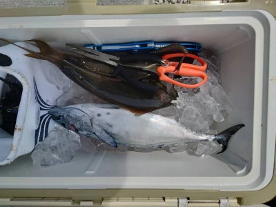 あづまや渡船の2025年9月14日(日)1枚目の写真