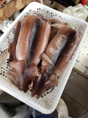 佐円丸の2025年9月23日(火)2枚目の写真