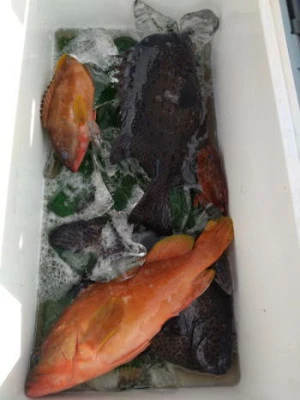 中山総合釣センター・海遊の2025年9月21日(日)3枚目の写真