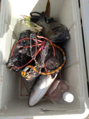 中山総合釣センター・海遊の2025年9月21日(日)4枚目の写真