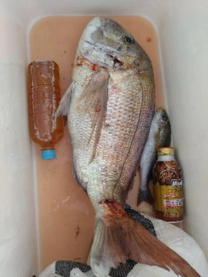 中山総合釣センター・海遊の2025年9月21日(日)5枚目の写真