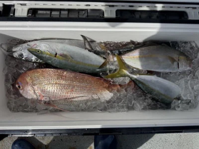 秀月丸の2025年9月21日(日)3枚目の写真