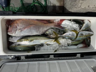 秀月丸の2025年9月22日(月)3枚目の写真