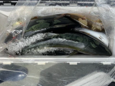 秀月丸の2025年9月22日(月)4枚目の写真