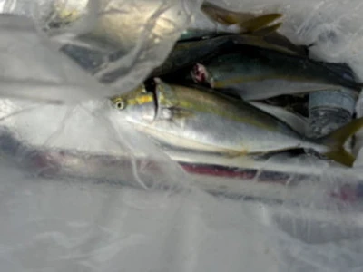 秀月丸の2025年9月22日(月)5枚目の写真