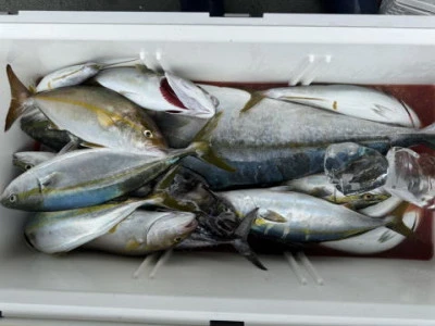 秀月丸の2025年9月23日(火)5枚目の写真