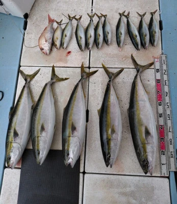 SUSIMARUの2025年9月17日(水)5枚目の写真