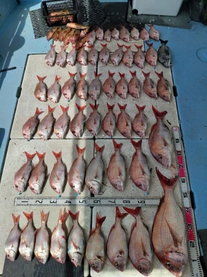 SUSIMARUの2025年9月18日(木)3枚目の写真