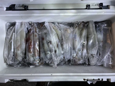 第３ 正幸丸の2025年9月18日(木)1枚目の写真