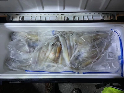 第３ 正幸丸の2025年9月18日(木)2枚目の写真