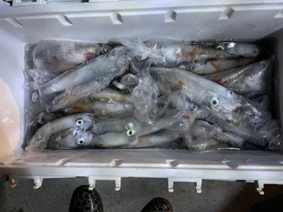 第３ 正幸丸の2025年9月18日(木)3枚目の写真