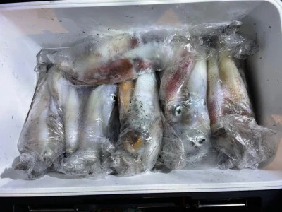 第３ 正幸丸の2025年9月18日(木)4枚目の写真