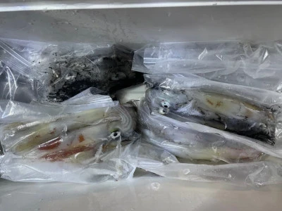 第３ 正幸丸の2025年9月20日(土)2枚目の写真