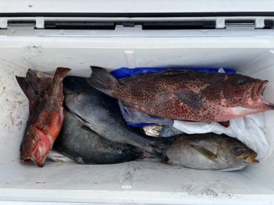 第３ 正幸丸の2025年9月21日(日)2枚目の写真