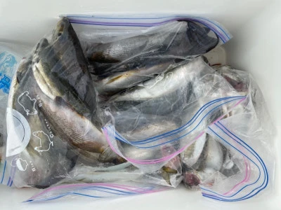 第３ 正幸丸の2025年9月21日(日)3枚目の写真