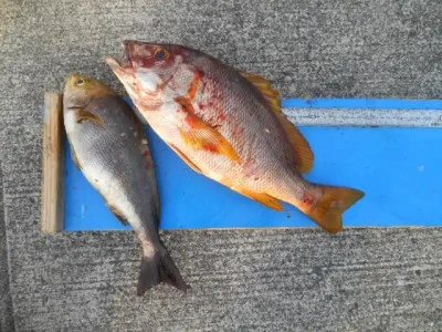 貴富丸の2025年9月20日(土)1枚目の写真