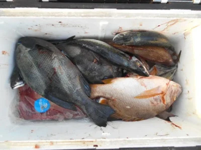 貴富丸の2025年9月20日(土)2枚目の写真