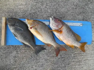 貴富丸の2025年9月20日(土)3枚目の写真