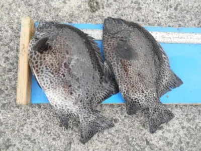 貴富丸の2025年9月20日(土)4枚目の写真