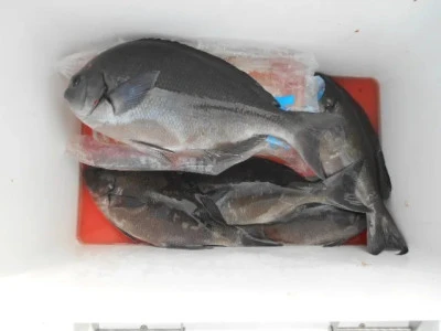 貴富丸の2025年9月21日(日)1枚目の写真