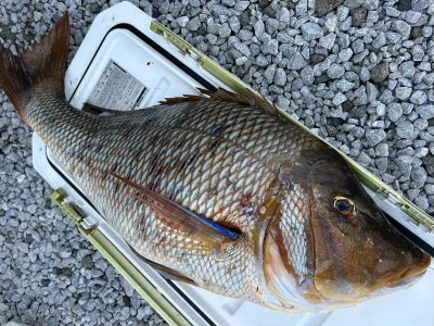 乙島丸の2025年9月18日(木)1枚目の写真