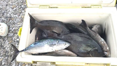 乙島丸の2025年9月22日(月)2枚目の写真