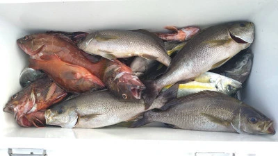 乙島丸の2025年9月22日(月)3枚目の写真