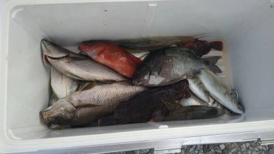 乙島丸の2025年9月22日(月)4枚目の写真