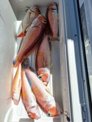 すずらん21の2025年9月19日(金)5枚目の写真