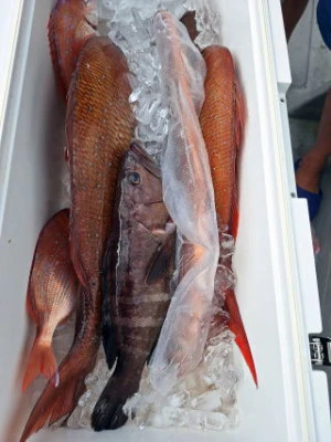 すずらん21の2025年9月20日(土)4枚目の写真