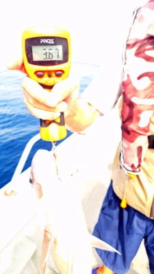 すずらん21の2025年9月20日(土)5枚目の写真