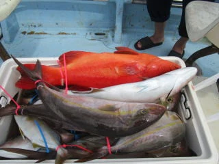 恵比須丸の2025年9月14日(日)4枚目の写真