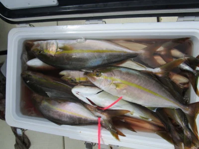 恵比須丸の2025年9月14日(日)5枚目の写真